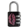 Master Lock 1509EURDKISS kombinační visací zámek - 30mm